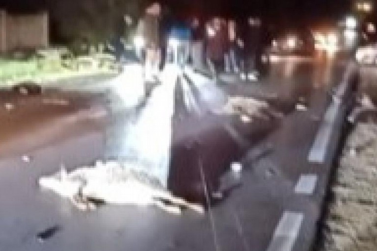 L'incidente stradale avvenuto sulla strada provinciale 85