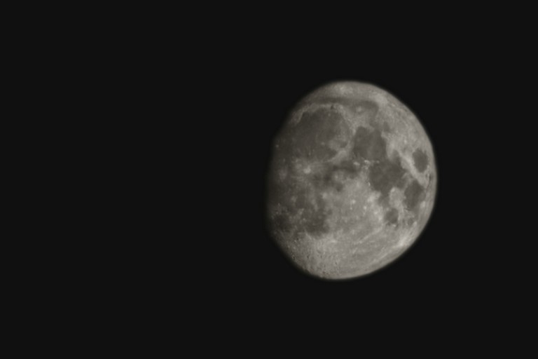 Luna. <span>Foto Stefano Procacci</span>