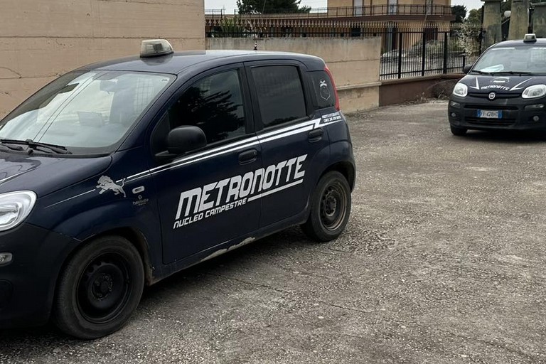 La Metronotte