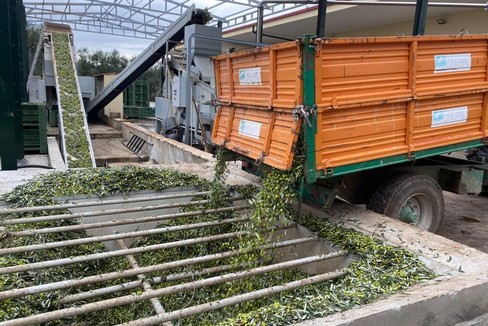 Alla scoperta dell’azienda agricola Di Martino