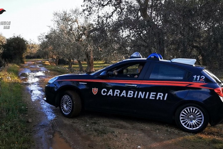 Carabinieri Olive