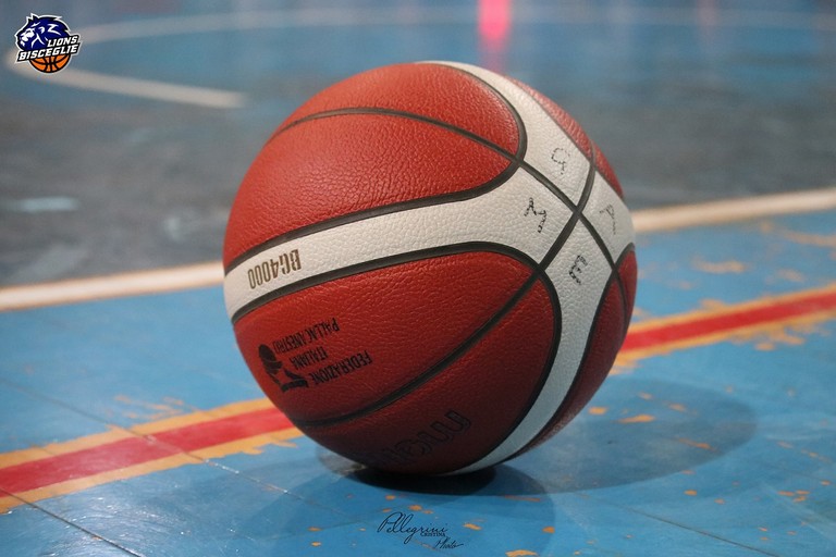 Pallone da basket (repertorio). <span>Foto Cristina Pellegrini</span>
