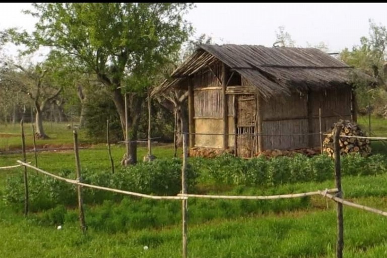 Un villaggio preistorico a Corato