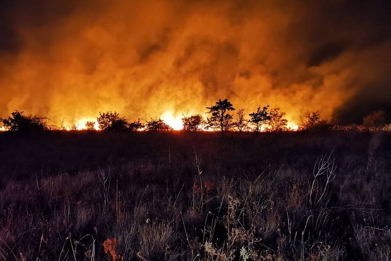 Incendio nelle campagne di Corato