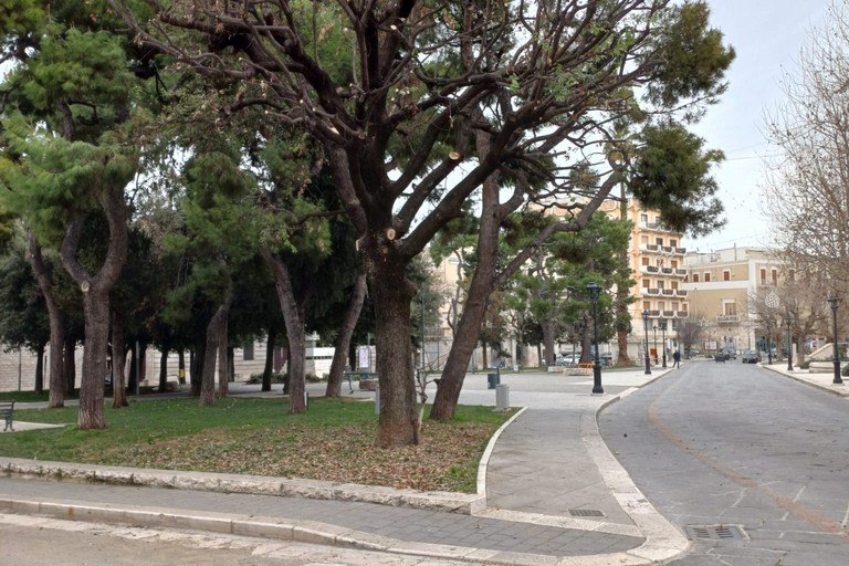 Rigenerazione del verde urbano in Piazza Vittorio Emanuele