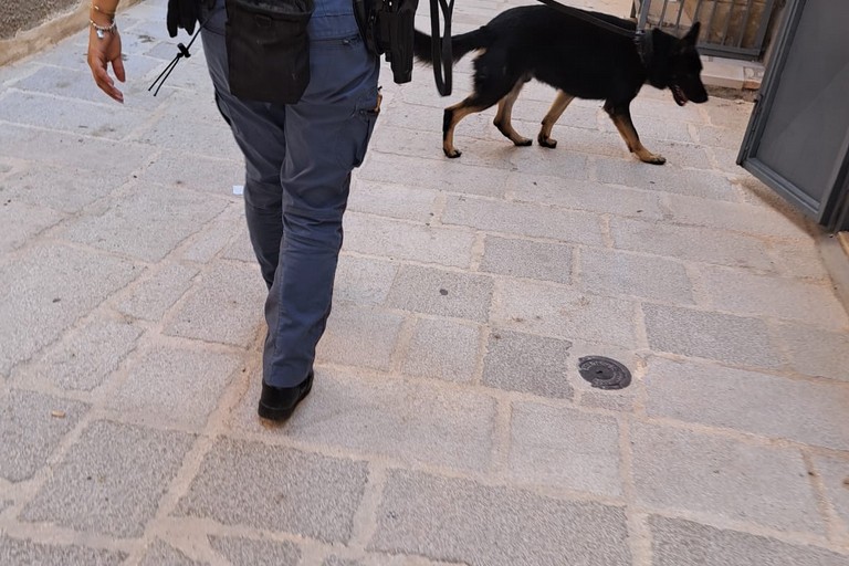 Controlli straordinari della Polizia di Stato a Corato: 80 persone identificate