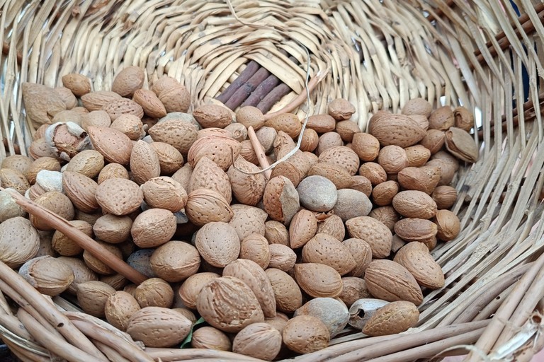 Mandorle