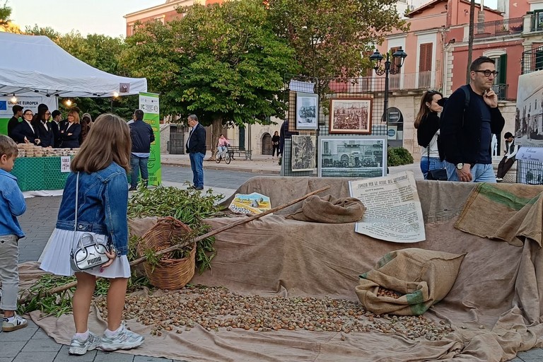 Festa della mandorla